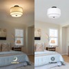Modern Flush Mount Ceiling Light Fixture - Easric Light Fixtures