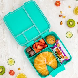 MontiiCo Bento Feast Lunch Box, Splash