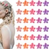 hisial 30PCS Mini Flower Hair Clips for Women Girls Small