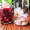 Salted Sakura Cha Preserved Flower Tea Pink Cherry Blossoms Japanese