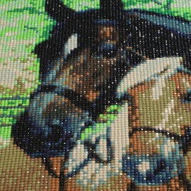 MXJSUA 5D Diamond Painting Full Drill Kits 5D Diamond Painting Set Horse Diamond Painting Pictures Adult Horses Rhinestone Glued Arts Craft Home Wall Decoration 30 x 40 cm Black Horse White Horse