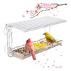 Window Bird Feeder, Clear Bird Feeders Window Mounted with Strong