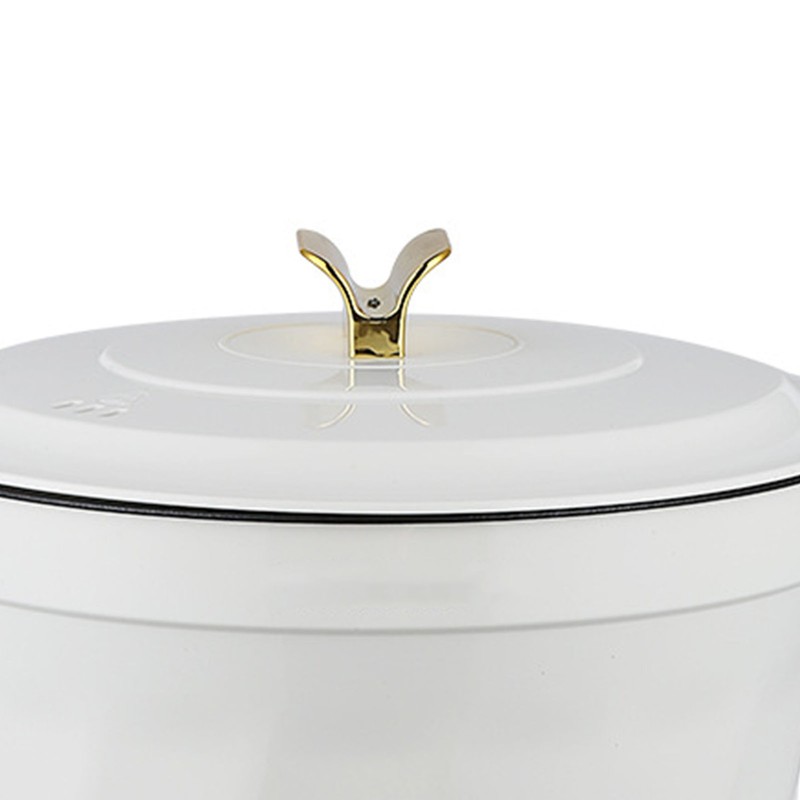 Electric Pot Multifunctional Dormitory Student Cooking Pot Electric Cooker Standard