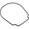 Pentair 357100 Black Seal Plate Gasket Replacement Pool and Spa