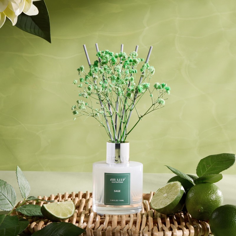 Airkeep Reed Diffuser Set, 3.38 fl oz (100 ml) -
