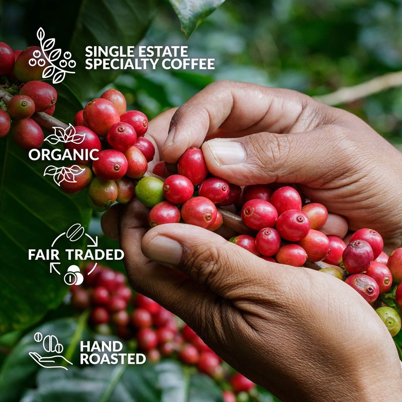 Travel Coffee for The Coffee Lover, Brew 6 Cups of