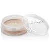 Guthy Renker Sheer Cover Lip to Lid Highlighter Bronzing Tan