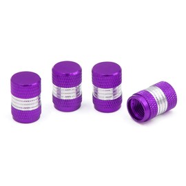Qtqgoitem 4pcs Universal Car Aluminum Alloy Cylindrical Design Tire Valve Purple Silver Tone (Model: d56 978 ACA fb7 441)