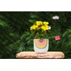 Abbott Collection Home Small Rainbow Planter with Legs