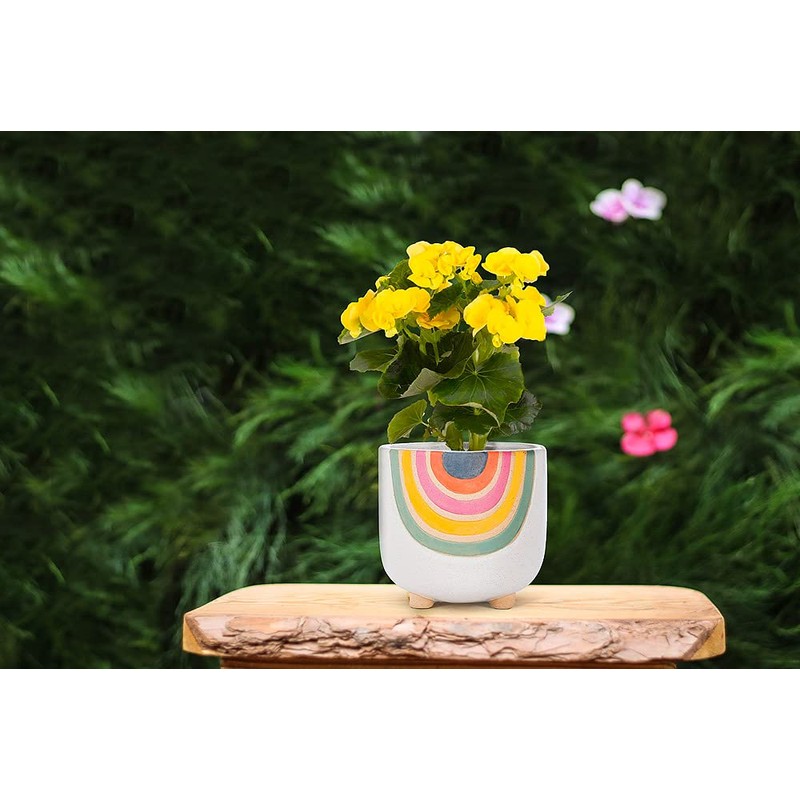 Abbott Collection Home Small Rainbow Planter with Legs