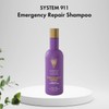 Hayashi 911 Shampoo, 10.1 Fluid Ounce