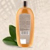 Tio Nacho Ginseng Shampoo with Royal Jelly, Herbal Hair Growth