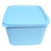 Tupperware Cubix Ice Crystal Freezer Storage Container Fridge Container Food