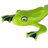 Flying Tree Frog