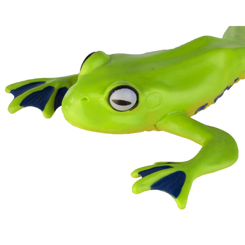 Flying Tree Frog