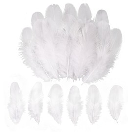 whitefeather White Craft Rooster Feathers 900pcs 3-5inch Colored Bulk Feathers Natural Feathers for Crafting Kindergarten DIY Crafts,Home Wedding Party Decoration,Dream Catcher Supplies