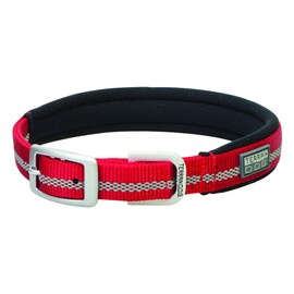 Terrain D.O.G. Reflective Neoprene Lined Dog Collar, 19" (17 - 20 in., 1 in. width), Red