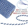 Blue and White Twine String,984ft Christmas Bakers Twine 2MM Heavy
