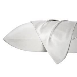 Kissenbezug aus Seide, 65 x 65 cm, Anti-Falten, milbendicht und nicht saugfähig, 100 % Seide, für gesundes Haar und Haut (hellgrau)