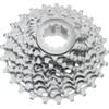 Sram PG 1070 10-Speed Cassette silver Size:Option 3