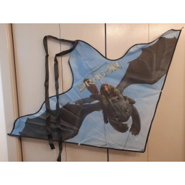 How to Train Your Dragon (2025) Kite