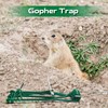 Qualirey 8 Pcs Gopher Trap with Chain Gopher Killer Vole
