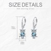 POPKIMI Owl Gifts for Women Owls Earrings for S925 Sterling