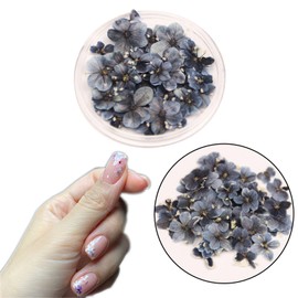 1 Boxes 50 pcs Nail Drying Flower, DIY, 3D Nail Art, Plant Theme, Irregular Shape, Flower Stickers Suitable for Care and Small Natural Nail Decoration, Accessories. (Cuban Ash Blue)