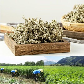 KUSRUP Wild, Three-Year-Old Pure Dried Mugwort Leaves (Stem-Free), Artemisia argyi Leaf Suitable for Foot soaks, Baths, air Purification,and DIY Moxa Wool for Moxibustion (1.1lbs)