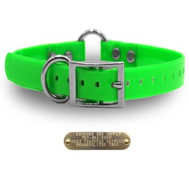 Outdoor Dog Supply 1" Heavy Duty Waterproof D-Ring & Center O-Ring Dog Collar for Medium & Large Dogs | Custom 3/4" Brass Nameplate (Lime Green, 18")