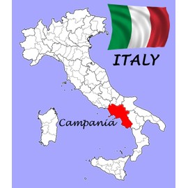 Maestri Pastai, Foglie Di Carciofo Pasta (Artichoke Pasta) (Pack of 2), Imported from Mercato San Severino, Italy, 17.66 oz - Real Artichoke Shaped