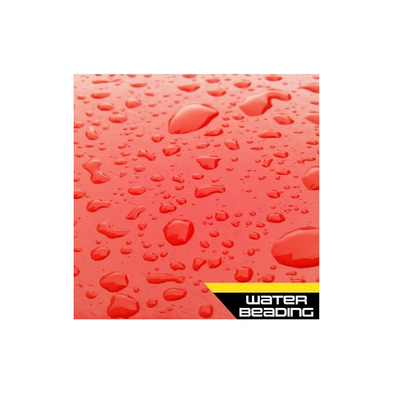 Formula 1, 615032, Shampoo con Cera De Carnauba, 1.9 L