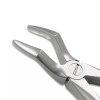 OSUNG Dental Extraction Forceps Pedo 51C Premium Osung -FXX51C (#1048)