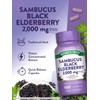 Nature's Truth Black Elderberry Capsules – Super Concentrated Sambucus Extract,