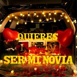 Quieres Ser Mi Novia Light Up Letters Proposing Decorations Set Includes 14 LED Light Letters and 1000 Rose Petals Valentine's Day Ornaments