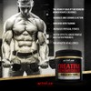 Activlab Creatine Monohydrate | 300g | 50 Servings | Natural