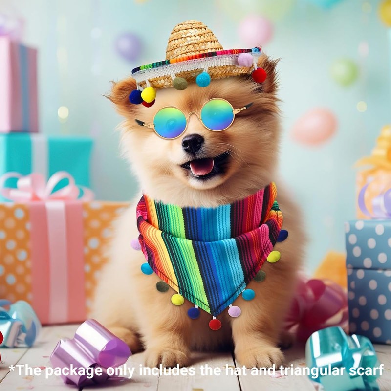AIMALL Mexican Style Pet Bandana and Straw Hat Set, Colourful
