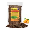 Gardenera's Expert Kumquat Soil Mix - 5 QT - Quick