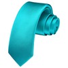 HISDERN Men's Tie Slim Plain Silk Ties for Men Classic