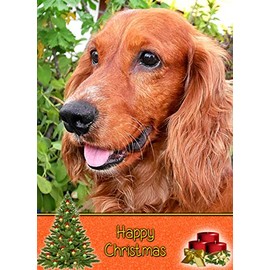Cocker Spaniel Dog Christmas Card 'Happy Christmas' - Special Animal Xmas Card for Him Her from Pets Kids