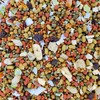 Intune Harmony Conure, Cockatiel, Lovebird and Parrot Food 2Lb, Multicolor