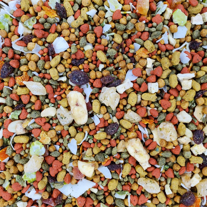 Intune Harmony Conure, Cockatiel, Lovebird and Parrot Food 2Lb, Multicolor