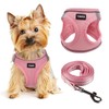 Dog Harness for Small Dogs and Leash Set, Honeycomb Grid,