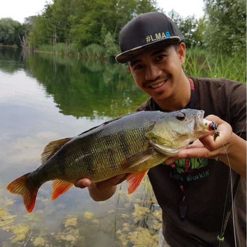 LMAB Drunk Bait 8, 12, 16 & 20 cm –