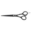 Jaguar JP 10 6.5 46650-1 Hair Scissors Black