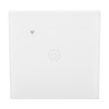 DS‑101 Smart Switch WIFI BLE Touch Switch Wireless Remote Control