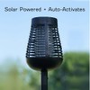 PIC Solar Insect Killer Torch (DFST), Bug Zapper and Accent