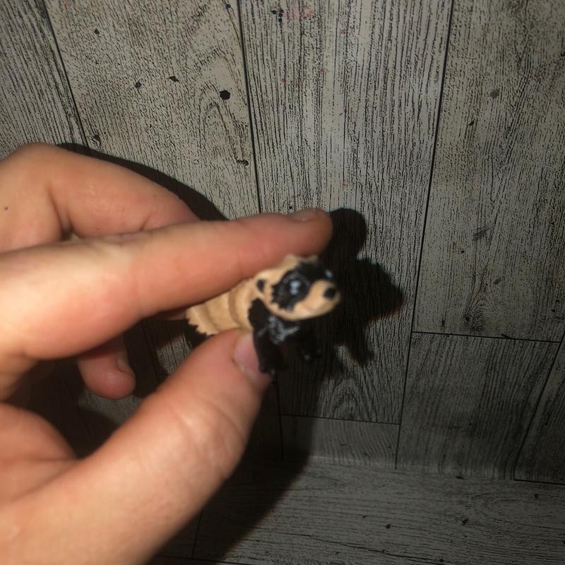 Micro Minis decor - Colour: Micro Mrs Clause