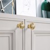 FAPUAL 6 Pack Gold Cabinet Knobs for Kitchen Cabinets and