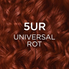L'Oréal Paris Permanent Hair Colour for All Skin Tone, Colouration without Ammonia, Universal Nude Tones with Full Grey Hair Coverage, Excellence Cream, No. 5UR Universal Red, Pack of 1